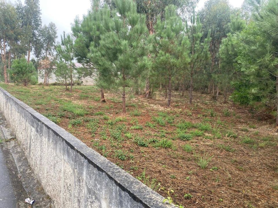 Helårsgrund i Bela, Viana do Castelo - foto 3