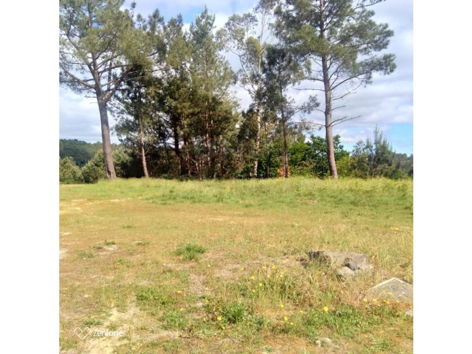 Tomt i Candemil e Gondar, Viana do Castelo - bilde 4