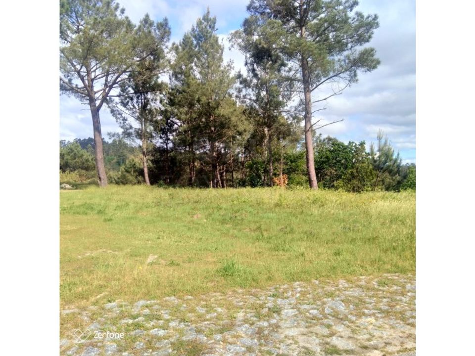 Tomt i Candemil e Gondar, Viana do Castelo - bilde 5