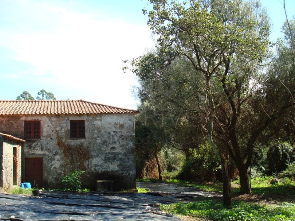 Farm i Esposende, Braga - foto 1