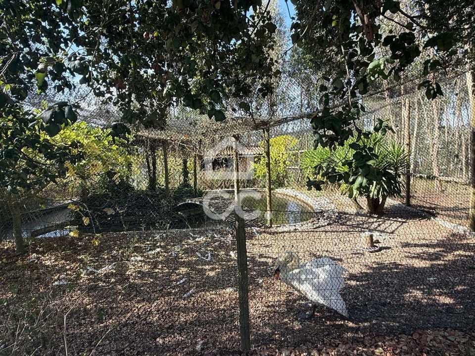 Villa a Pataias, Leiria - foto 5