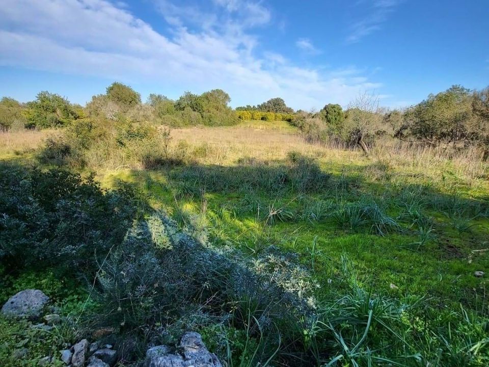Lejlighed i Silves, Faro - foto 3