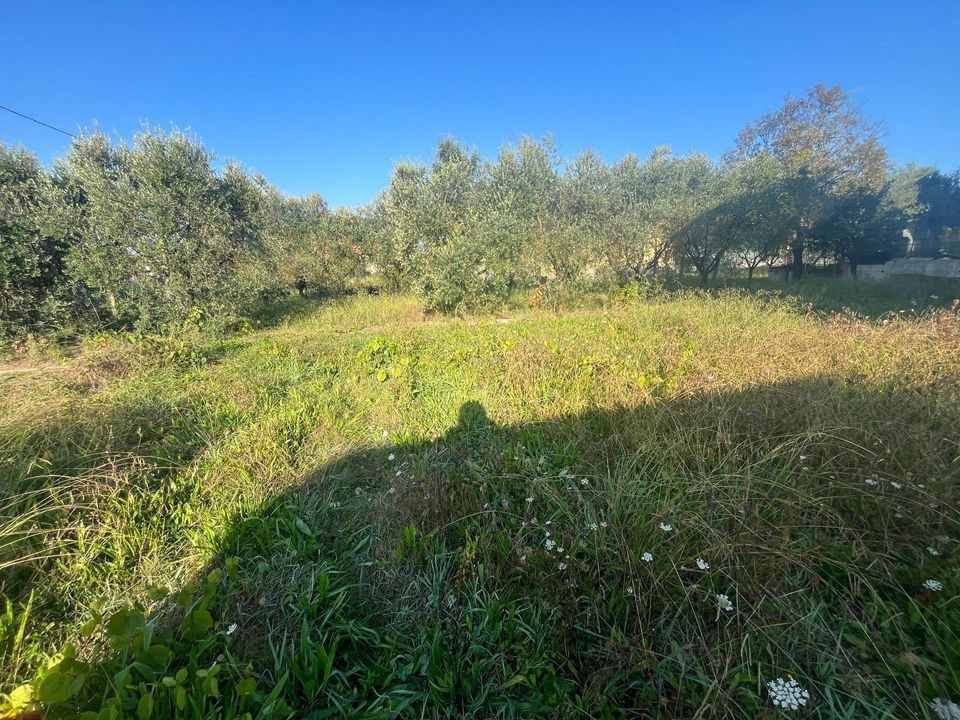 Helårsgrund i Porcari, Lucca - foto 3