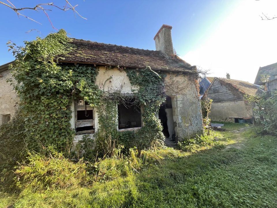 Landejendom i Savigné-sur-Lathan, Indre-et-Loire - foto 3