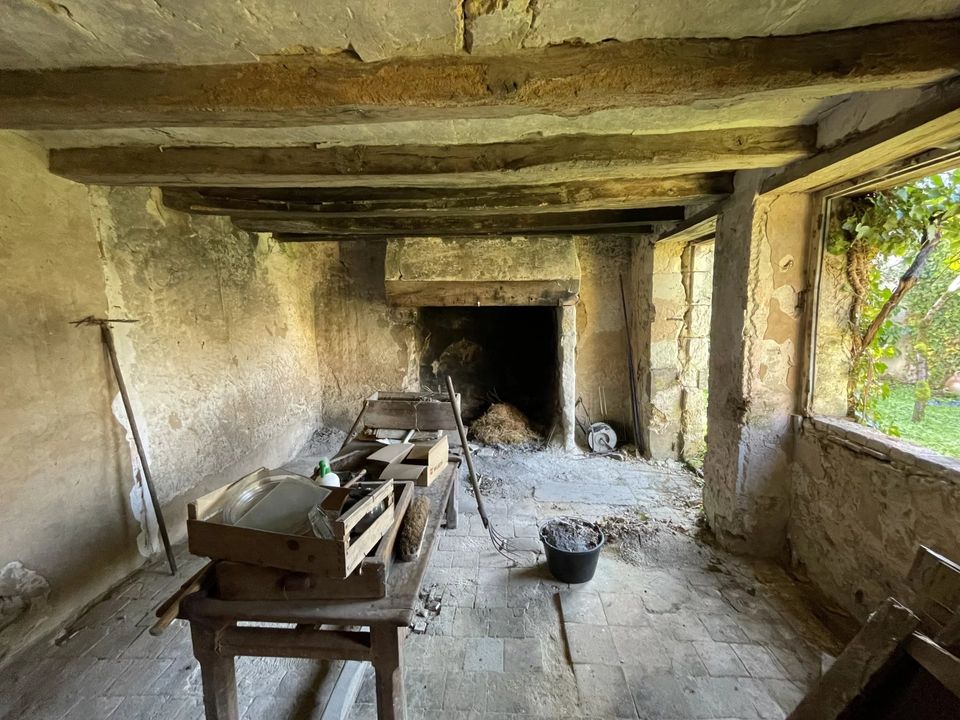 Landejendom i Savigné-sur-Lathan, Indre-et-Loire - foto 4
