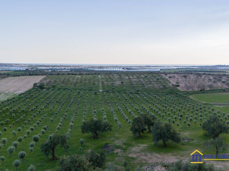 Helårsgrund i Noto, Siracusa - foto 1