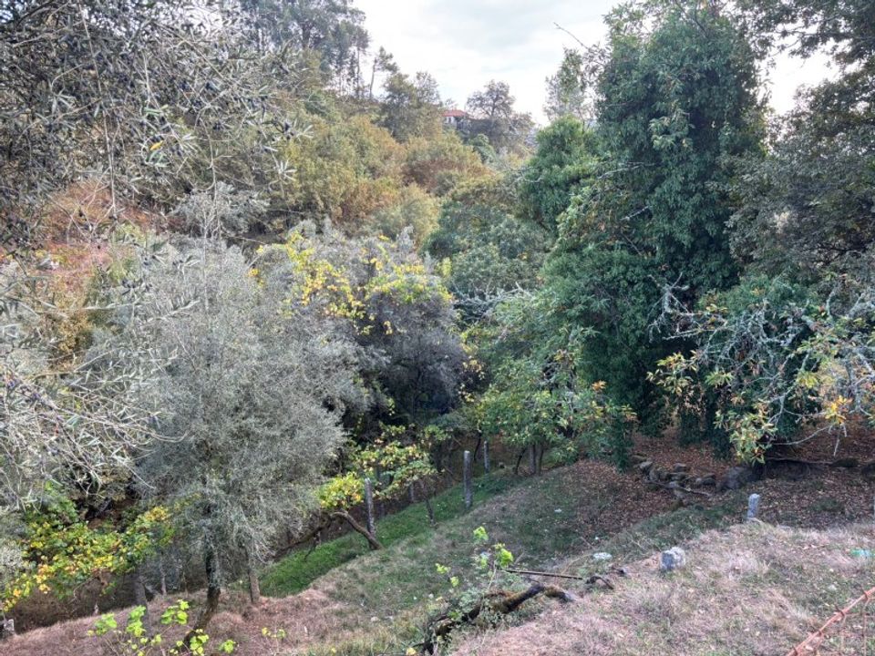 Helårsgrund i Arcos de Valdevez, Viana do Castelo - foto 3