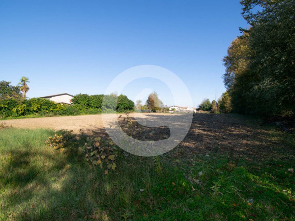 Villa i Campodarsego, Padua - bilde 4