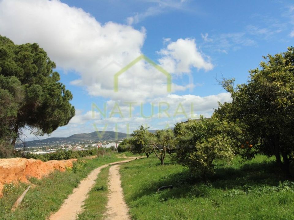 Granja a Faro, Faro - foto 1