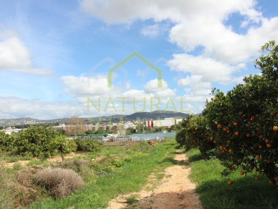Granja a Faro, Faro - foto 3