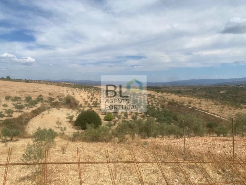 Farm i Mirandela, Braganca - foto 4