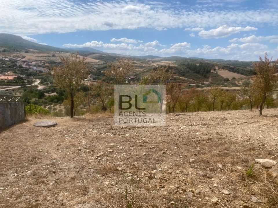 Farm i Mirandela, Braganca - foto 5