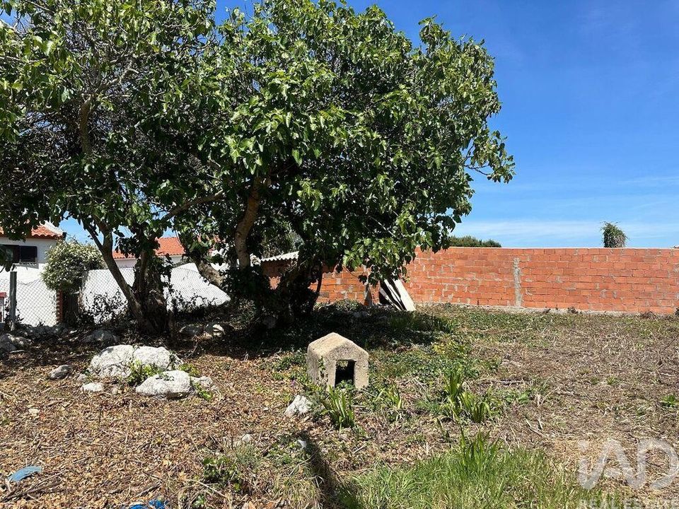 Byhus i Peniche, Leiria - foto 5