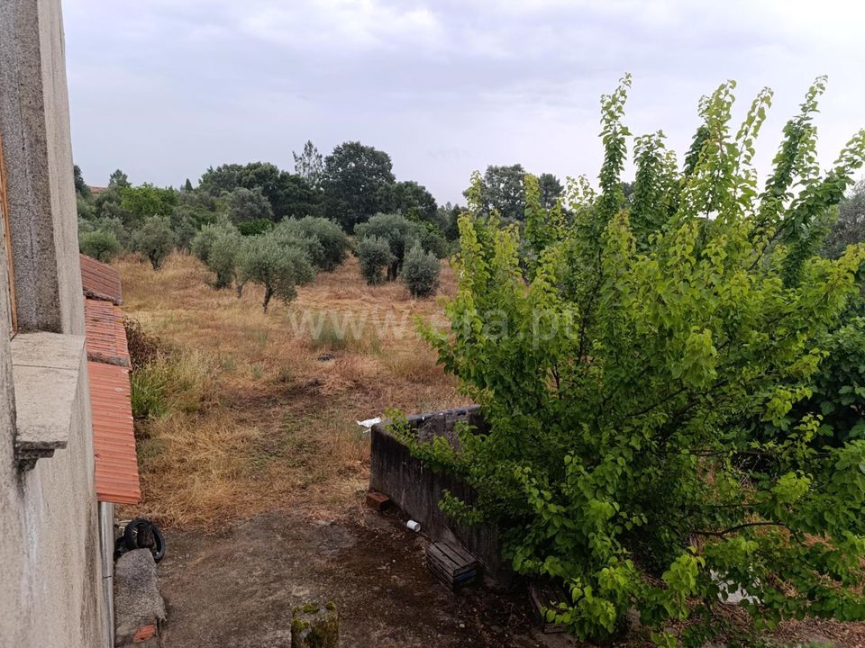 Farm i Fundao, Castelo Branco - foto 4