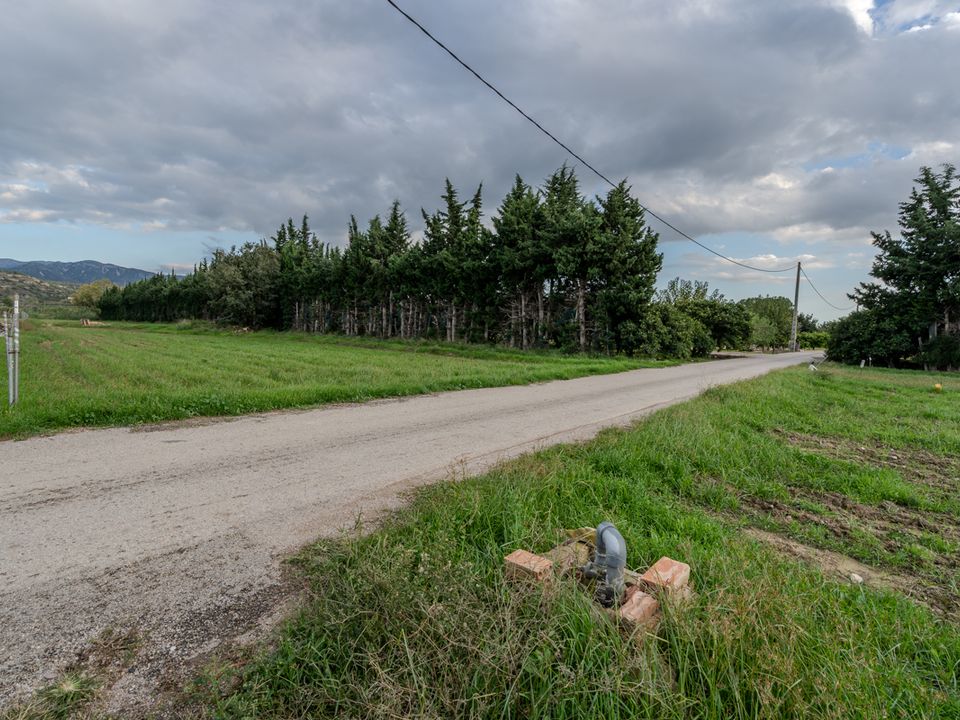 Finca i Aldover, Tarragona - bilde 2