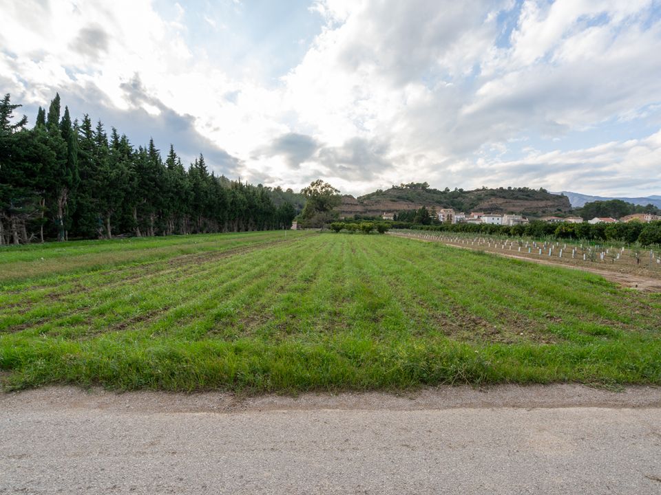 Finca i Aldover, Tarragona - bilde 3