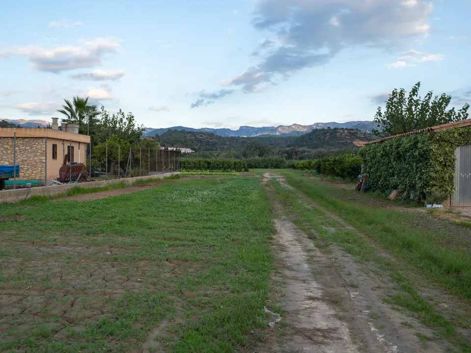 Finca i Aldover, Tarragona - bilde 2