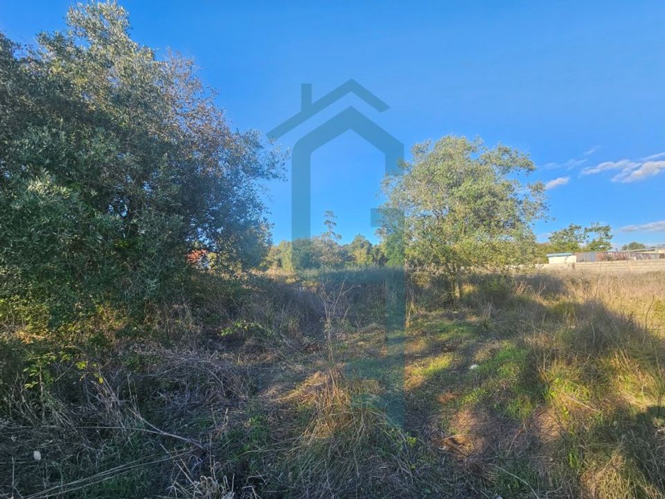 Terra a Turquel, Leiria - foto 3