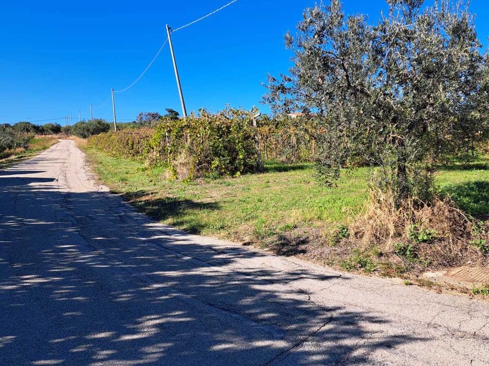 Villa i Frisa, Chieti - foto 4