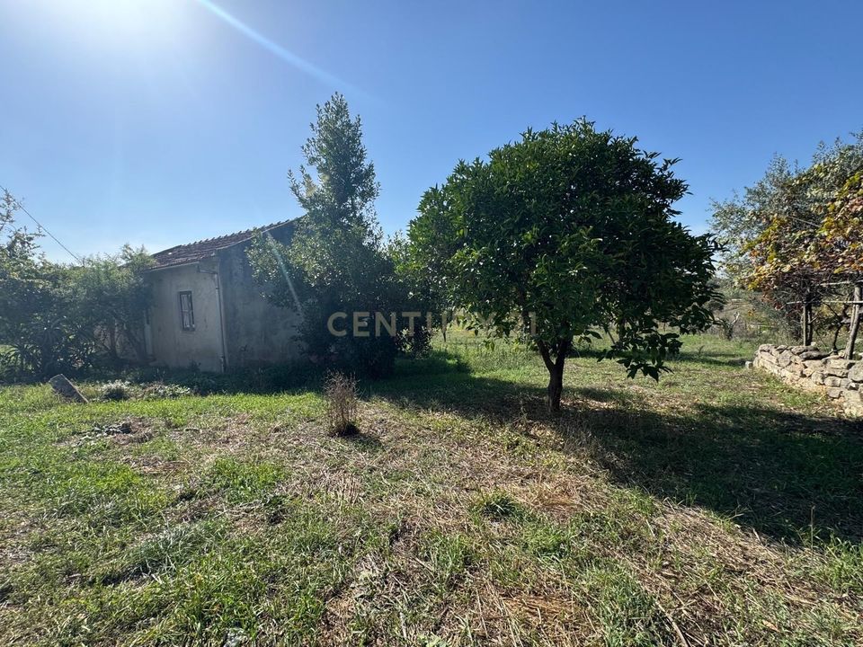 Villa i Pombal, Leiria - foto 4