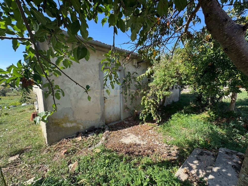 Villa i Pombal, Leiria - foto 5