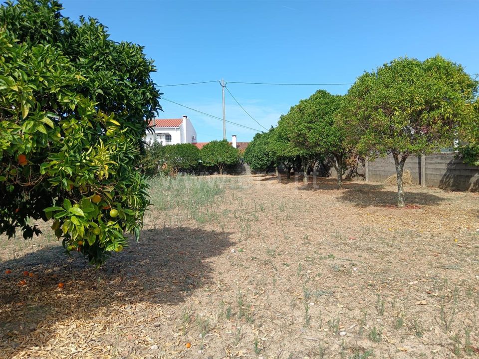 Helårsgrund i Castelo Branco, Castelo Branco - foto 1