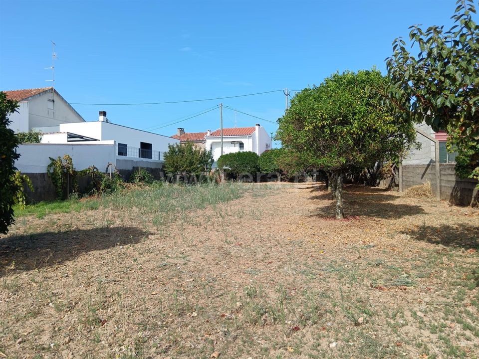 Helårsgrund i Castelo Branco, Castelo Branco - foto 4