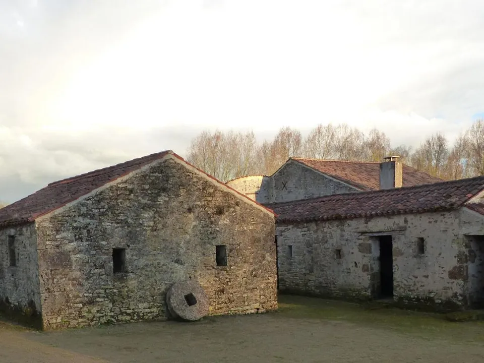 Villa i Marsais-Sainte-Radegonde, Vendee - bilde 3