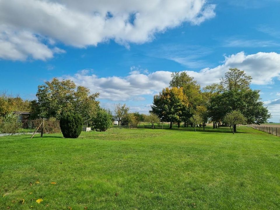 Villa i Sougy, Loiret - foto 5