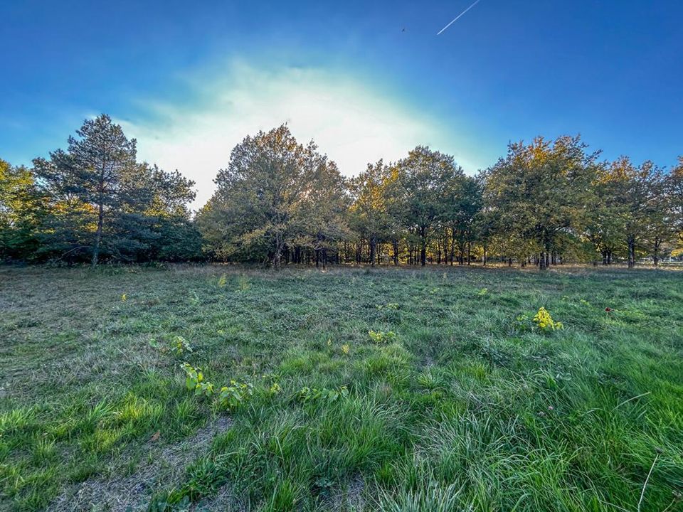 Helårsgrund i Langon, Loir-et-Cher - foto 2