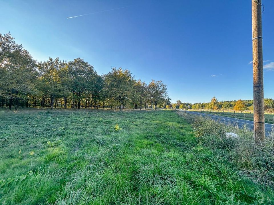 Helårsgrund i Langon, Loir-et-Cher - foto 4
