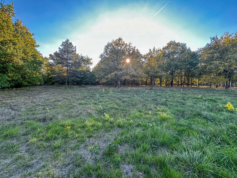 Helårsgrund i Langon, Loir-et-Cher - foto 5