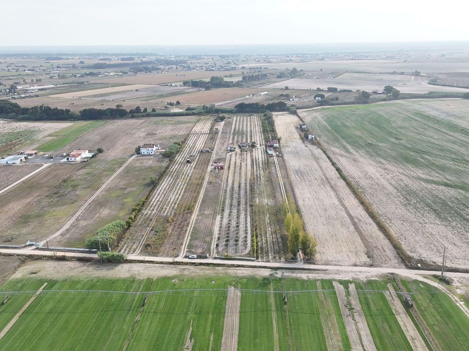 Helårsgrund i Almeirim, Santarem - foto 1