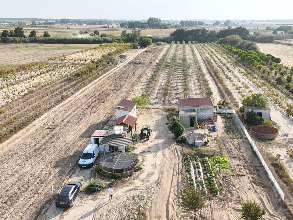 Helårsgrund i Almeirim, Santarem - foto 2