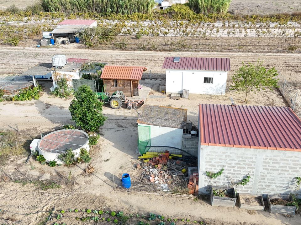 Helårsgrund i Almeirim, Santarem - foto 3