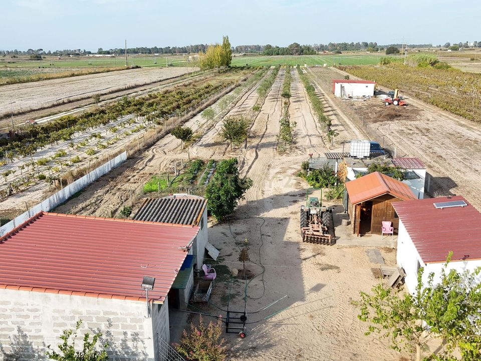 Helårsgrund i Almeirim, Santarem - foto 4