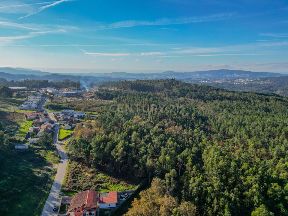 Helårsgrund i Barcelos, Braga - foto 4