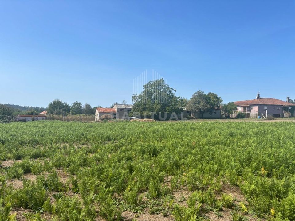 Farm i Fontoura, Viana do Castelo - foto 4