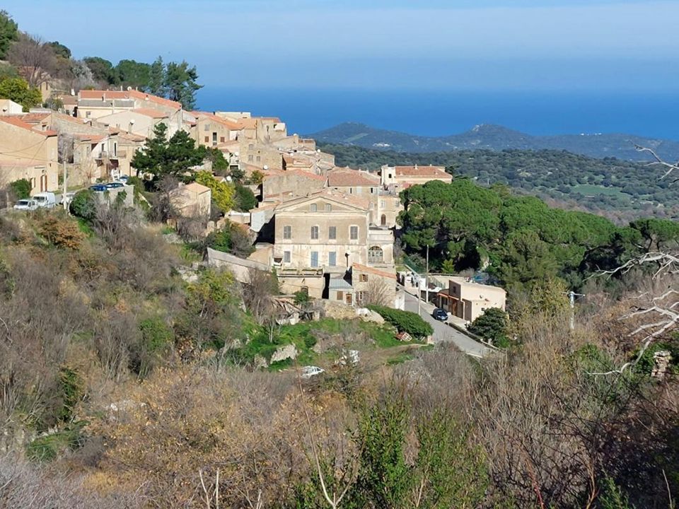 Helårsgrund i Ville-di-Paraso, Haute-Corse - foto 1
