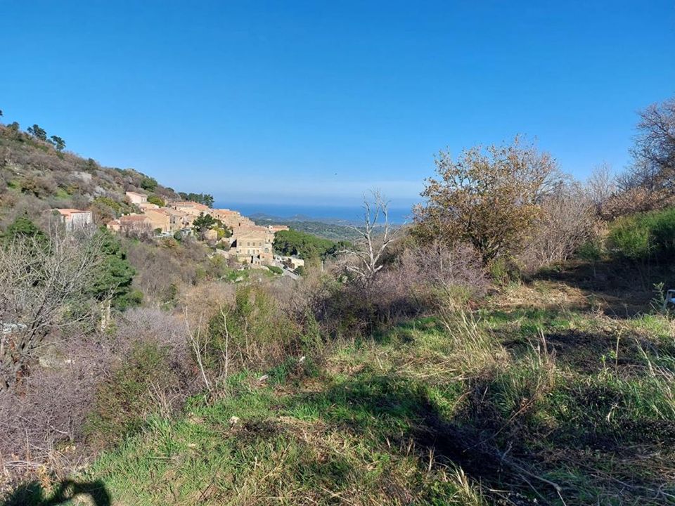 Helårsgrund i Ville-di-Paraso, Haute-Corse - foto 2