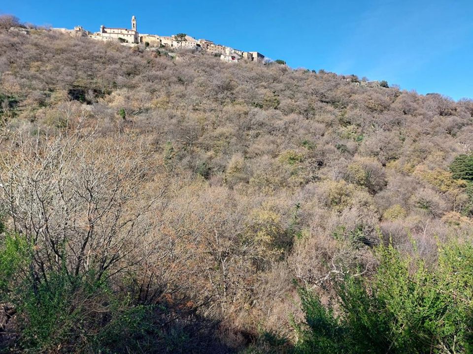 Helårsgrund i Ville-di-Paraso, Haute-Corse - foto 4