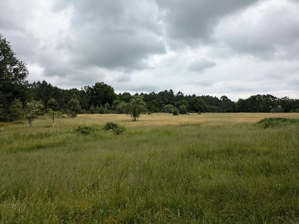 Helårsgrund i Cercoux, Charente-Maritime - foto 1