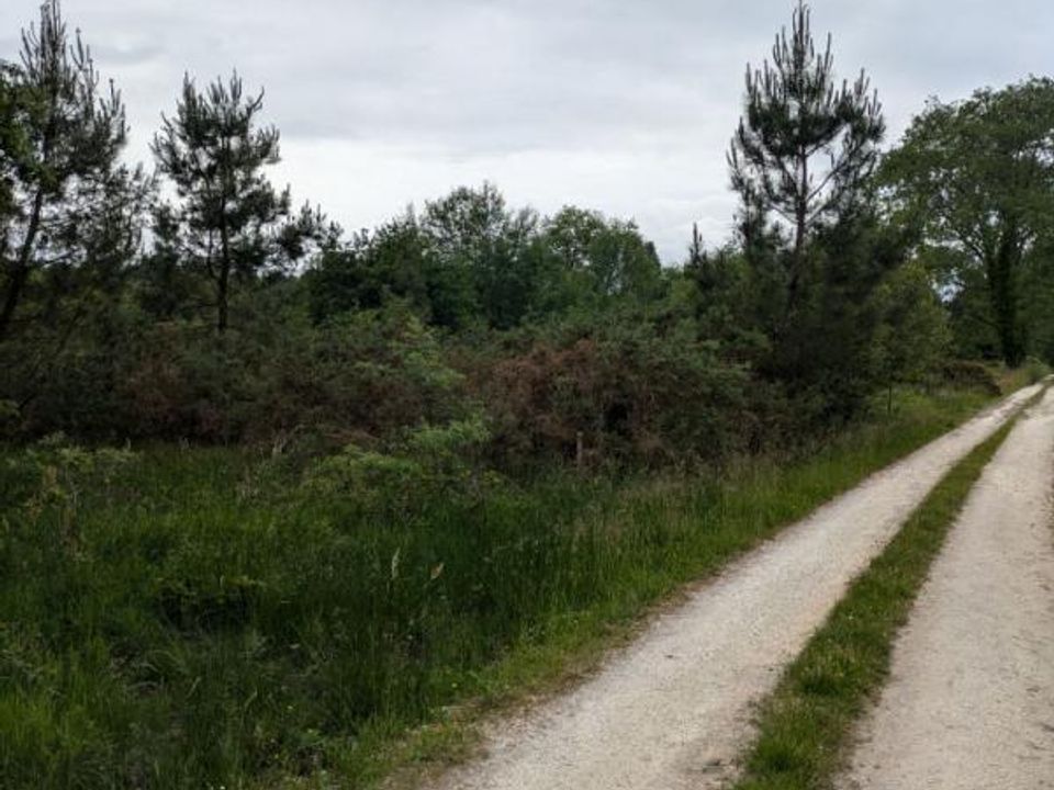 Helårsgrund i Cercoux, Charente-Maritime - foto 2
