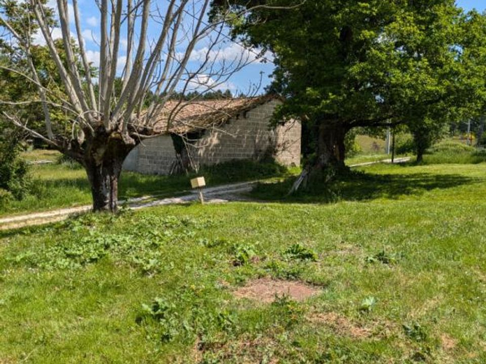 Helårsgrund i Cercoux, Charente-Maritime - foto 4