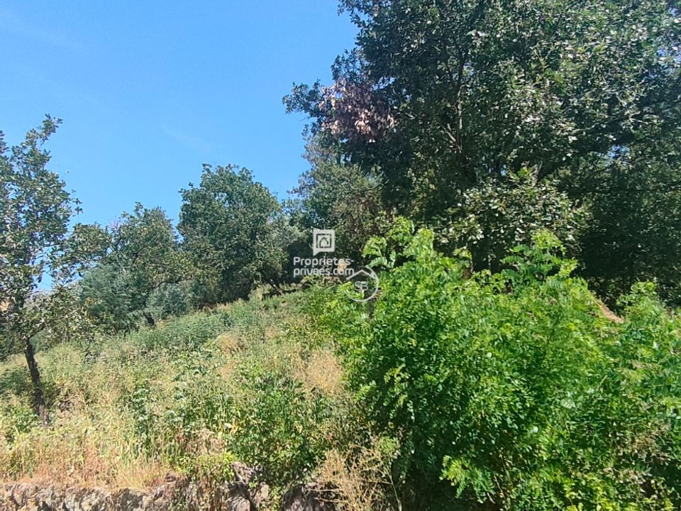 Terreno en Aubenas, Ardeche - foto 4
