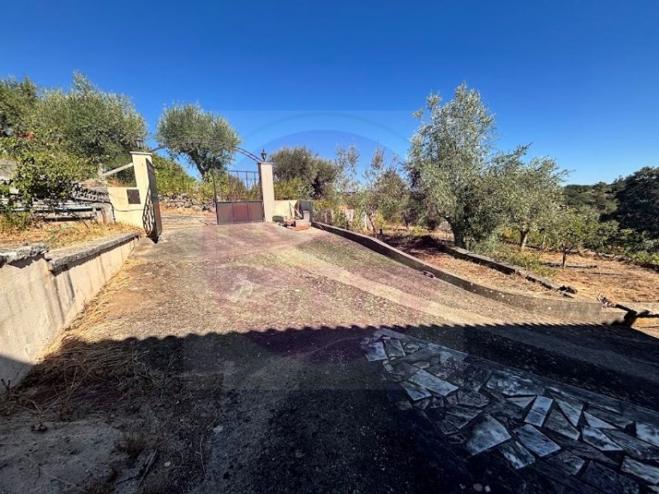 Villa i Tomar, Santarem - foto 4