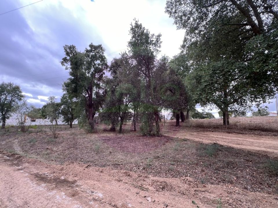 Helårsgrund i Tomar, Santarem - foto 1