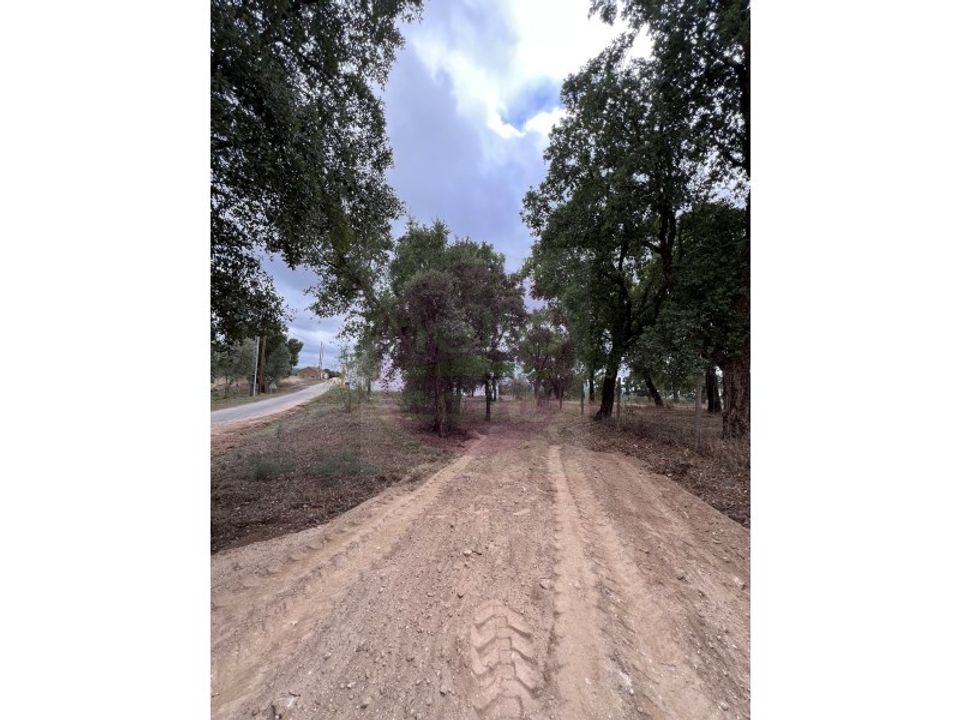 Helårsgrund i Tomar, Santarem - foto 2