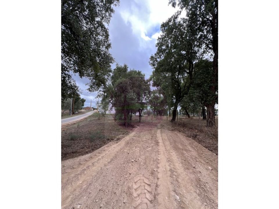 Helårsgrund i Tomar, Santarem - foto 3
