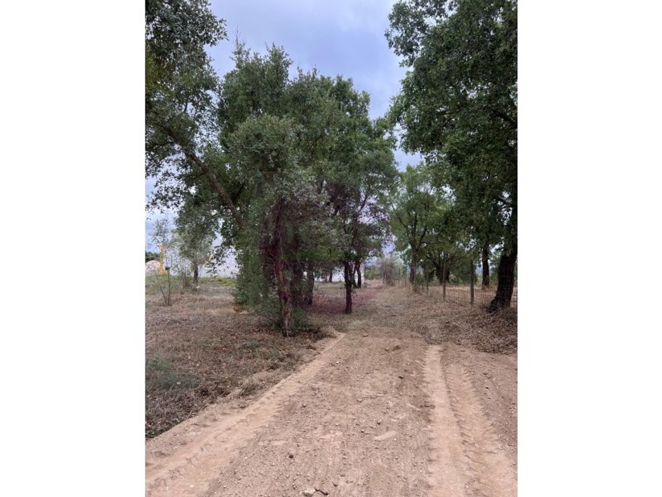 Helårsgrund i Tomar, Santarem - foto 4